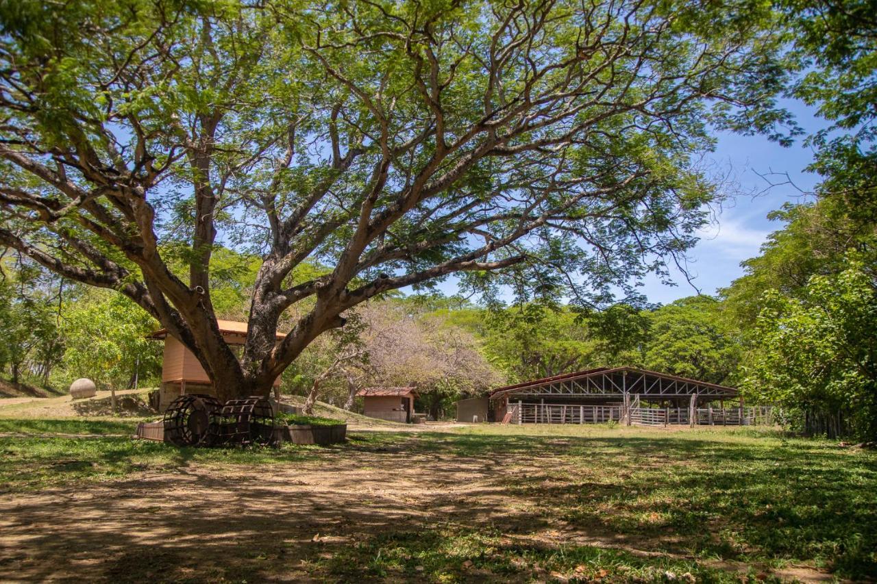 Rancho Humo Estancia Puerto Humo  Eksteriør bilde